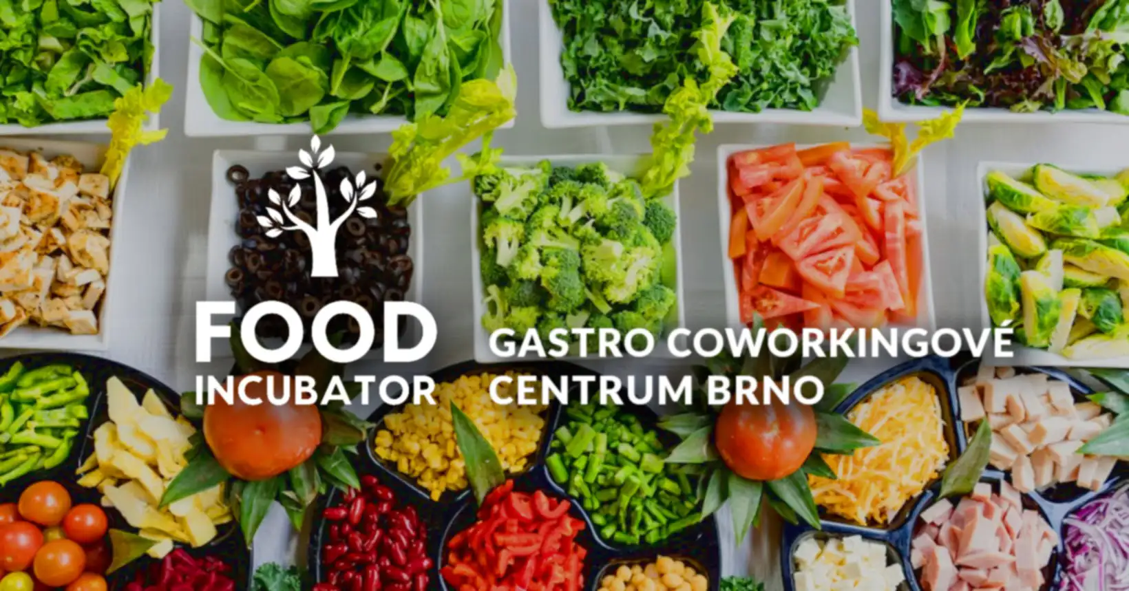 Food Incubator